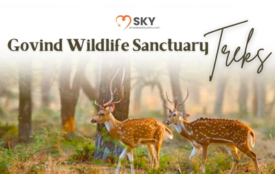 Govind Wildlife Sanctuary Treks – Best Time & Difficulty Guide